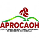 APROCAOH